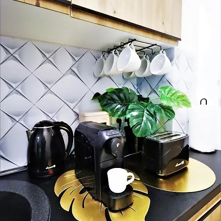 아파트 Mit Blick Auf Den Park - Mariw Matejki 17 Z Widokiem Na Park