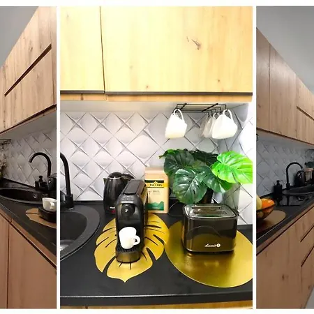 Mit Blick Auf Den Park - Mariw Matejki 17 Z Widokiem Na Park 슈비노우이스쳬