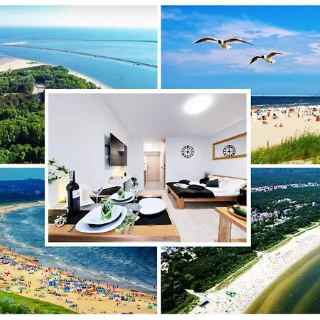 Mit Blick Auf Den Park - Mariw Matejki 17 Z Widokiem Na Park * 슈비노우이스쳬