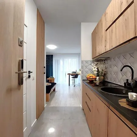 Mit Blick Auf Den Park - Mariw Matejki 17 Z Widokiem Na Park 슈비노우이스쳬