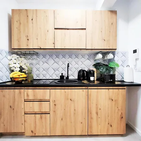 아파트 Mit Blick Auf Den Park - Mariw Matejki 17 Z Widokiem Na Park