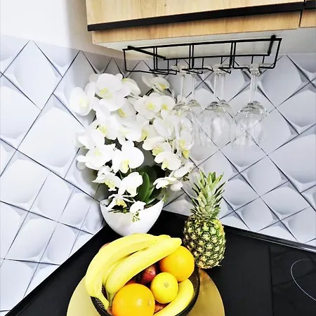 Mit Blick Auf Den Park - Mariw Matejki 17 Z Widokiem Na Park 슈비노우이스쳬