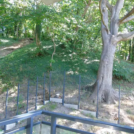 Mit Blick Auf Den Park - Mariw Matejki 17 Z Widokiem Na Park Świnoujście