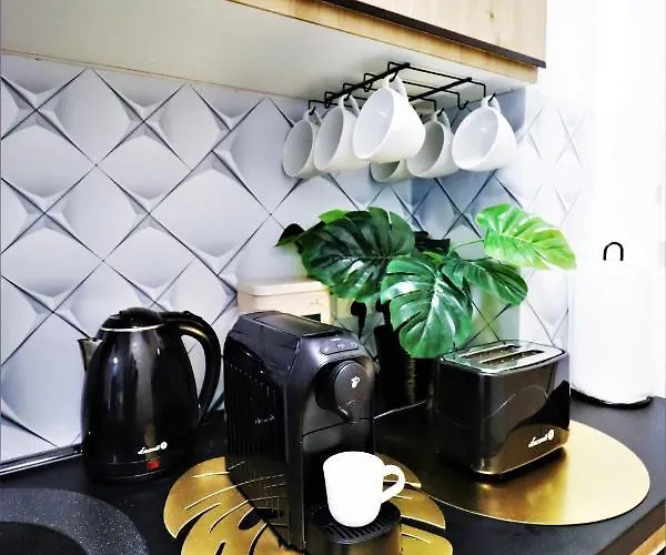 Daire Mit Blick Auf Den Park - Mariw Matejki 17 Z Widokiem Na Park